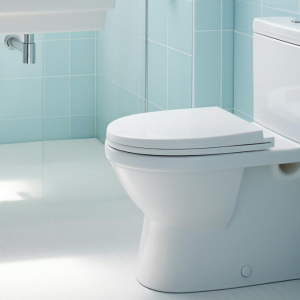Зачем хитрые хозяйки кидают лед в унитаз: узнаете — всегда будете делать только так